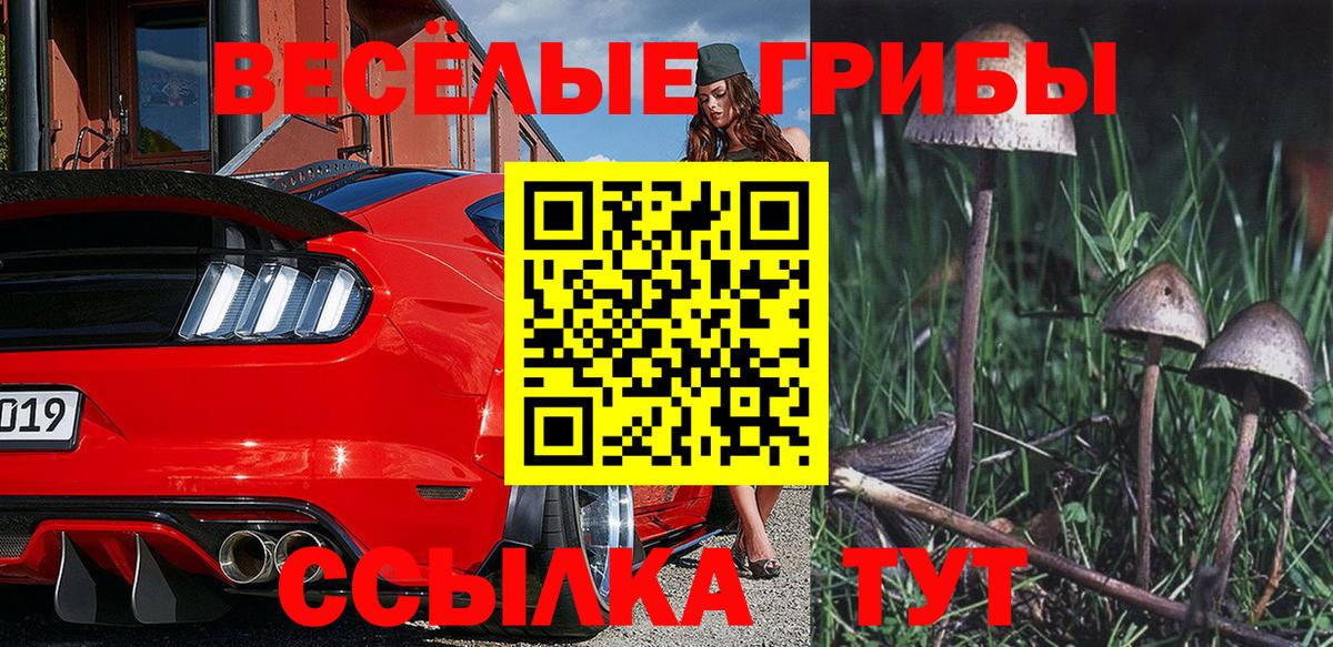 даркнет сайт  Вход с VPN  Сунжа  Псилоцибиновые грибы Psilocybe 