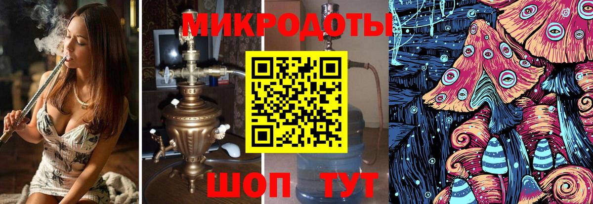 Псилоцибиновые грибы Psilocybe Сунжа